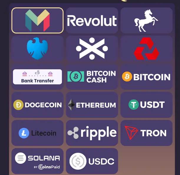 Payment methods at Spinchester Casino, cards, wallets and crypto